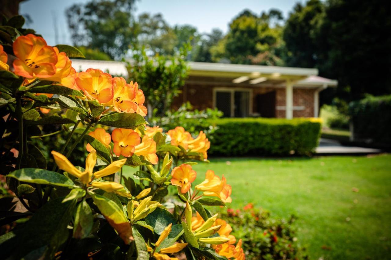 Alarks Nest Bed And Breakfast Coffs Harbour Exteriér fotografie