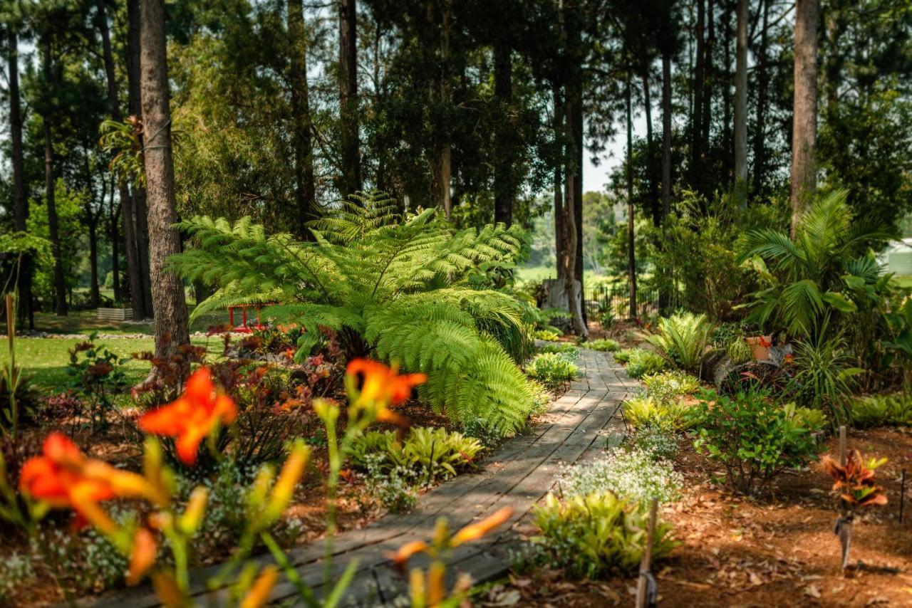 Alarks Nest Bed And Breakfast Coffs Harbour Exteriér fotografie