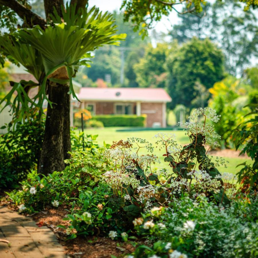 Alarks Nest Bed And Breakfast Coffs Harbour Exteriér fotografie